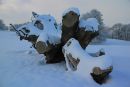 Dec 22nd 2010 nr Wigmore